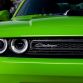 challenger-shaker-ny-16