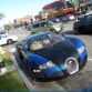 Dog into Bugatti Veyron