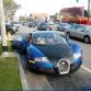 Dog into Bugatti Veyron