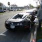 Dog into Bugatti Veyron