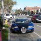 Dog into Bugatti Veyron