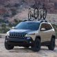 Easter Jeep Safari 2015 (4)