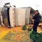 Egg-Truck Crashes in China