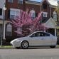 Elio Motors three-wheeler