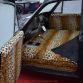 Exposition Concept Cars 2013