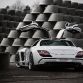 FAB Design SLS Gullstream