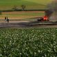 Ferrari 458 Italia on fire