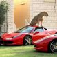 Ferrari 458 Italia with Lion