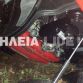 Ferrari 575 superamerica crashed