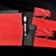 Ferrari Enzo in auction (23)