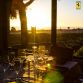 Ferrari of Newport Beach Client Appreciation Dinner (83)