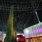 Ferrari World Abu Dhabi Opening Day