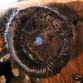 Fiat 500 covered in hair in auction (1)