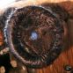 Fiat 500 covered in human hair (6)
