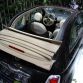 fiat-500c-live-in-geneva-2009-29.jpg