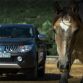 L200 Double Cab Static(5)