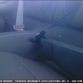 2015-Mustang-Crash-10