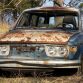 Five hundred cars hidden in a forest