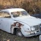 Five hundred cars hidden in a forest