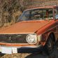 Five hundred cars hidden in a forest