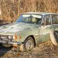 Five hundred cars hidden in a forest