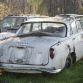 Five hundred cars hidden in a forest