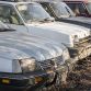 Five hundred cars hidden in a forest