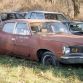 Five hundred cars hidden in a forest