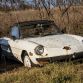 Five hundred cars hidden in a forest