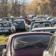 Five hundred cars hidden in a forest
