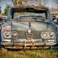 Five hundred cars hidden in a forest