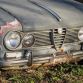 Five hundred cars hidden in a forest