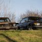 Five hundred cars hidden in a forest