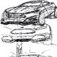 Ford Evos Concept