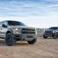 2-truck-raptors-cliffs-handheld-0005-2500px-1