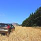 test-drive-ford-fiesta-100-56