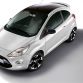Ford Fiesta Black and White Editions (10)