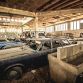 ford-autokerkhof-002