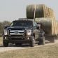 ford-king-ranch-lineup-2015-13