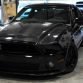 Ford Mustang 1100 by UBB Widow Makers