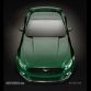 mustang-2015-2