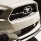 ford-mustang-50-year-limited-edition-14