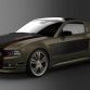 Ford Mustang Fast Metal concept