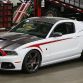 Ford Mustang RS3 2014