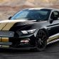Ford Shelby GT-H 2016 (1)