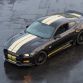 Ford Shelby GT-H 2016 (3)