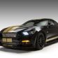 Ford Shelby GT-H 2016 (4)