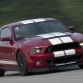 Ford Shelby GT500 2013