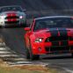 Ford Shelby GT500 2013
