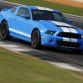 Ford Shelby GT500 2013